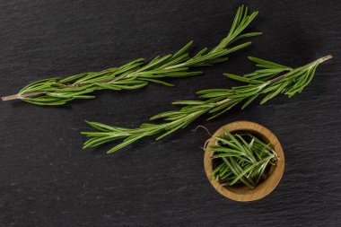 Gri taş üzerinde taze biberiye bitki