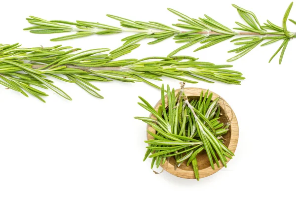 Fresh rosemary herb isolated on white — Stock Photo, Image