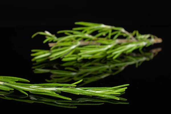 Fresh rosemary herb isolated on black glass