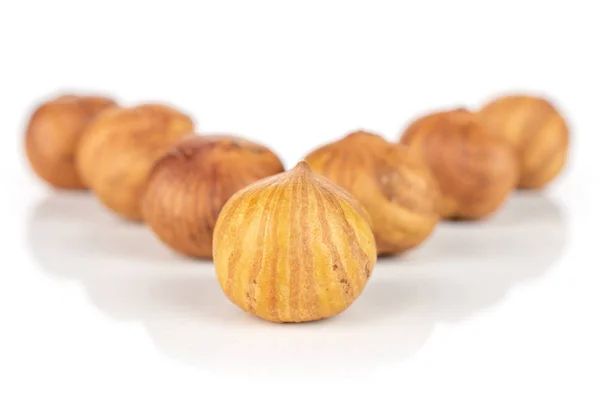 Ripe brown hazelnut isolated on white — Stock Photo, Image