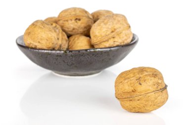 Olgun kahverengi ceviz beyaz izole