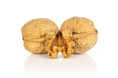 Olgun kahverengi ceviz beyaz izole