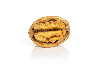 Olgun kahverengi ceviz beyaz izole