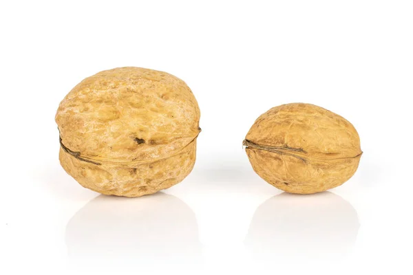 Стиглі коричневі горіхи ізольовані на білому — стокове фото