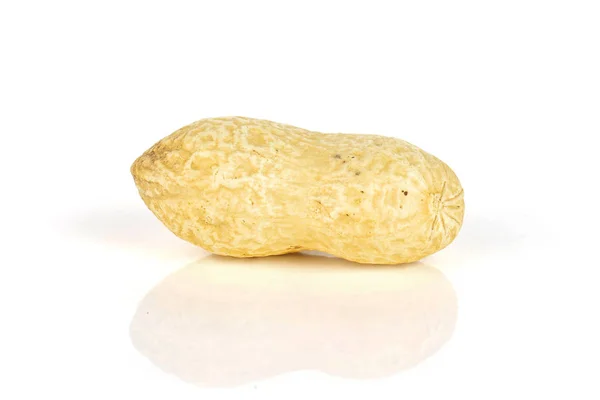 Keltainen luonnollinen maapähkinä eristetty valkoinen — kuvapankkivalokuva