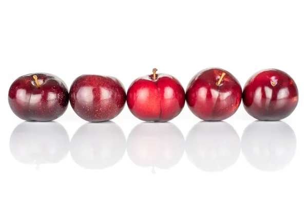 Ripe red plum isolated on white — Stock Photo, Image