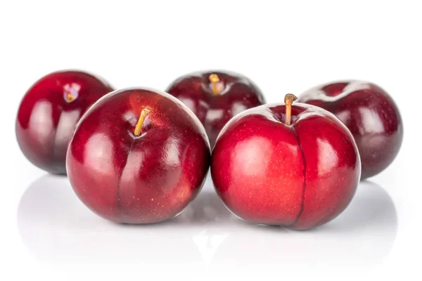 Prune rouge mûre isolée sur blanc — Photo