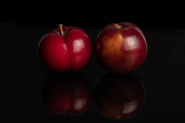 Ripe red plum isolated on black glass — Stock Photo, Image