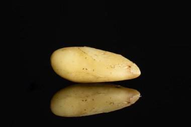 Kabuksuz brezilya somun siyah cam izole