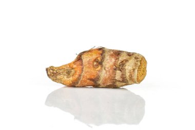 Parlak zerdeçal rizom beyaz izole