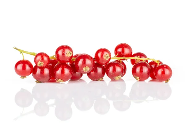 Świeże czerwone porzeczki izolowane na białym — Zdjęcie stockowe