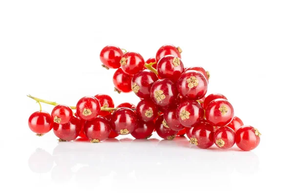 Ribes rosso fresco isolato su bianco — Foto Stock