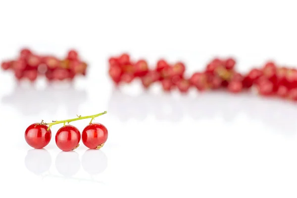 Currant merah segar diisolasi di putih — Stok Foto