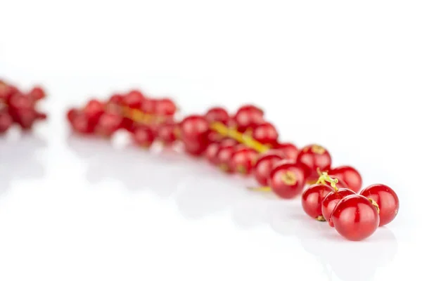 Grosella roja fresca aislada sobre blanco —  Fotos de Stock