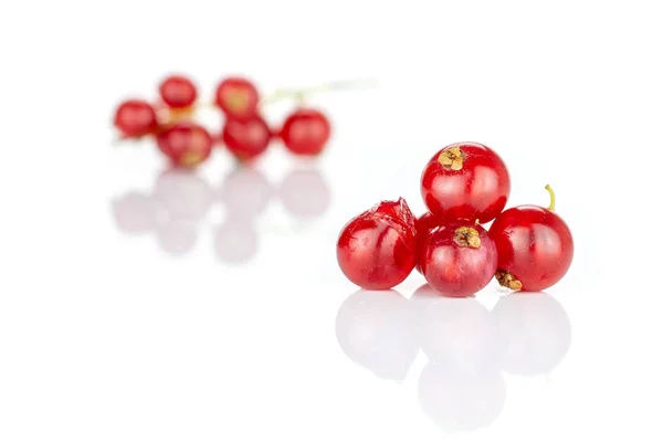 Ribes rosso fresco isolato su bianco — Foto Stock