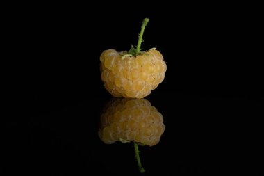 Taze hyalayan ahududu siyah cam izole