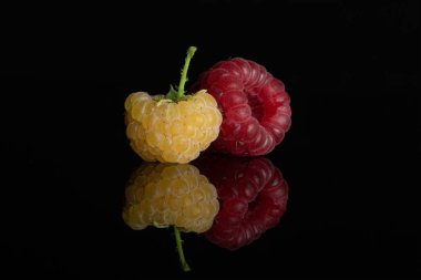 Taze hyalayan ahududu siyah cam izole