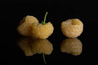 Taze hyalayan ahududu siyah cam izole