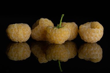 Taze hyalayan ahududu siyah cam izole