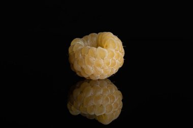 Taze hyalayan ahududu siyah cam izole