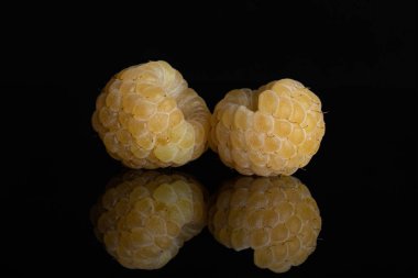 Taze hyalayan ahududu siyah cam izole