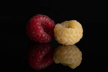 Taze hyalayan ahududu siyah cam izole