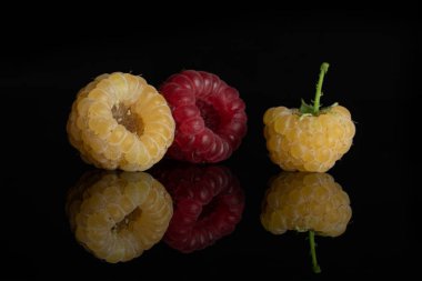 Taze hyalayan ahududu siyah cam izole