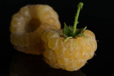 Taze hyalayan ahududu siyah cam izole