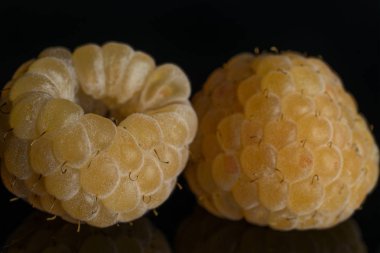 Taze hyalayan ahududu siyah cam izole