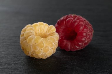 Gri taş üzerinde taze hyalayan ahududu