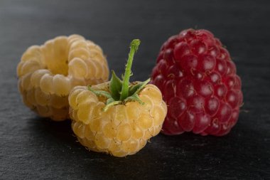 Gri taş üzerinde taze hyalayan ahududu