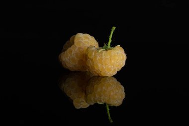 Taze hyalayan ahududu siyah cam izole