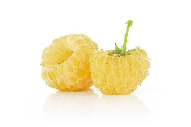 Taze hyalayan ahududu beyaz izole