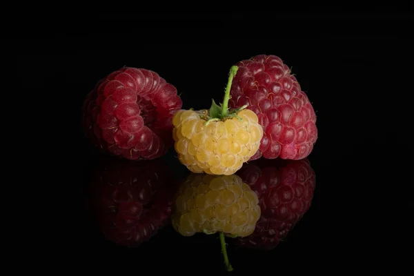 Fresh hymalayan raspberry isolated on black glass — Stock Photo, Image