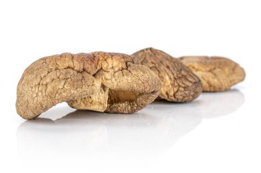 Kuru Shiitake mantar beyaz izole