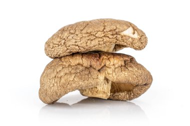 Kuru Shiitake mantar beyaz izole