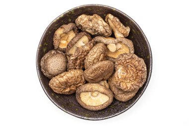 Kuru Shiitake mantar beyaz izole