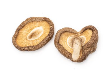 Kuru Shiitake mantar beyaz izole