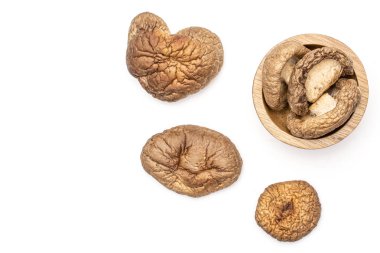 Kuru Shiitake mantar beyaz izole