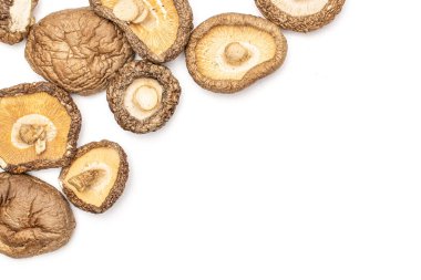 Kuru Shiitake mantar beyaz izole