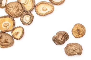 Kuru Shiitake mantar beyaz izole