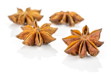 Kuru yıldız anason beyaz izole