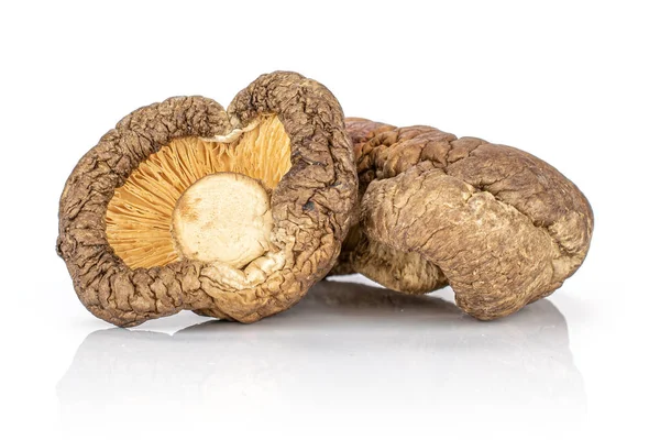 Dry shiitake mushroom isolated on white — Stock Photo, Image