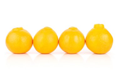 Turuncu minneola tangelo beyaz izole