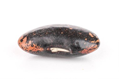 Beyaz üzerine izole edilmiş lekeli mor fasulye