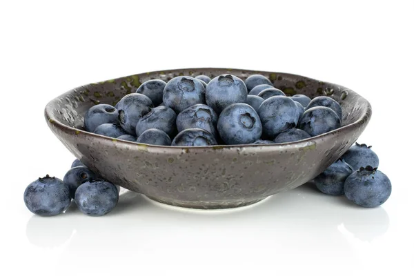 Fresj blue bilberry isolated on white — Stock Photo, Image