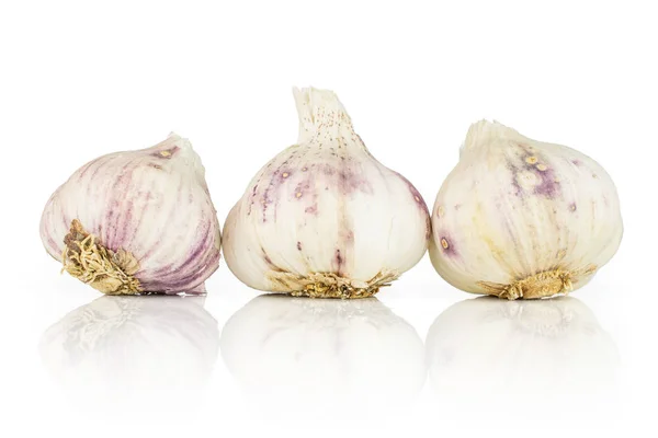 White organic garlic isolated on white — Stock Photo, Image