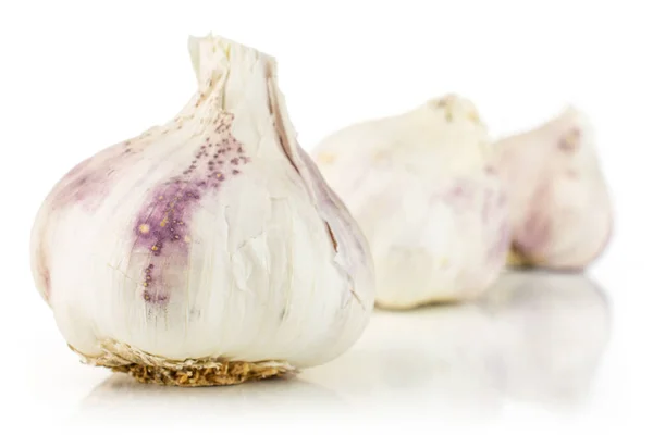 White organic garlic isolated on white — Stock Photo, Image