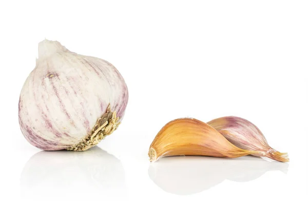 Witte biologische knoflook geïsoleerd op wit — Stockfoto