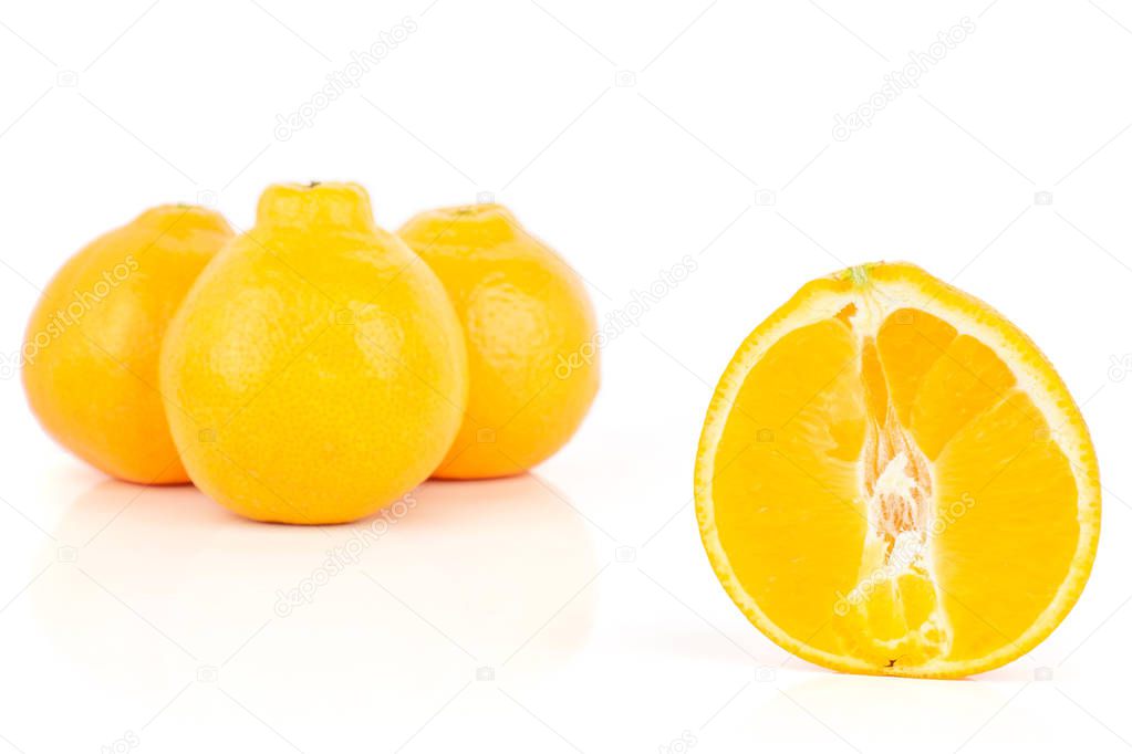 Orange minneola tangelo isolated on white — Stock Photo © PIXbank 302988390